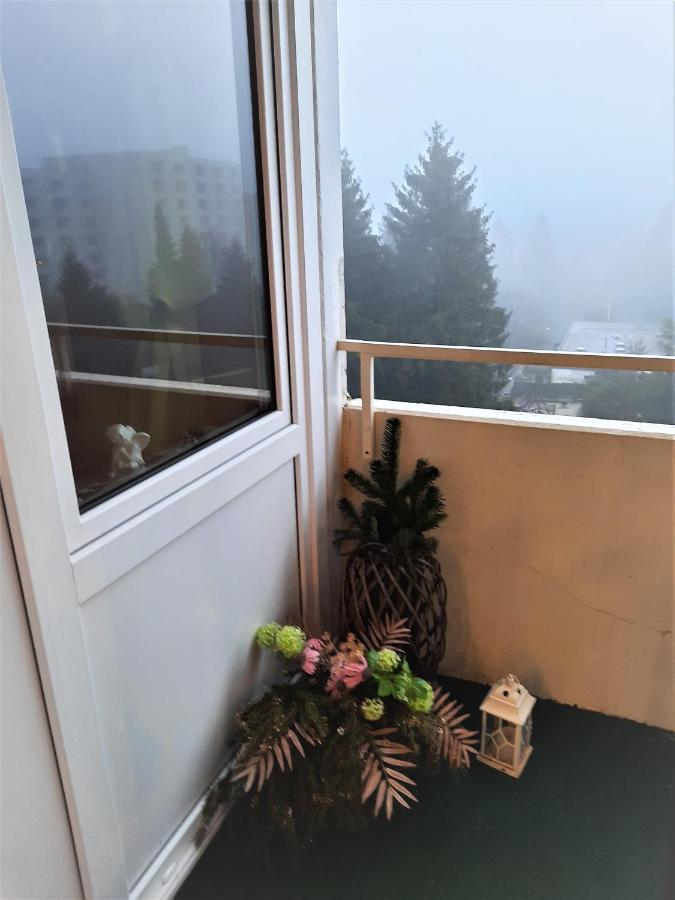 Funny Jungle Ferienwohnung Im Hahnenklee Гослар Екстериор снимка